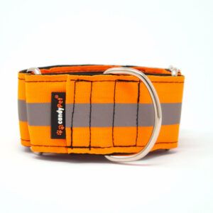 Collar Martingale Naranja
