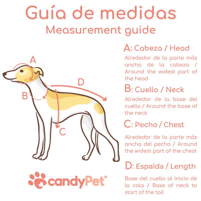 Guia MEDIDAS Guia MEDIDAS